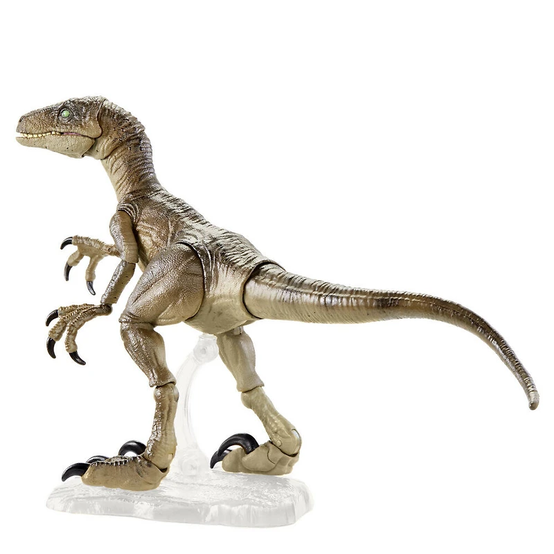 Jurassic World - Collection Ambre - Velociraptor