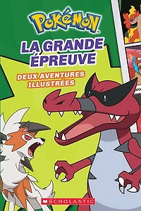 Pokemon 02 - grande épreuve deux aventures illustrées