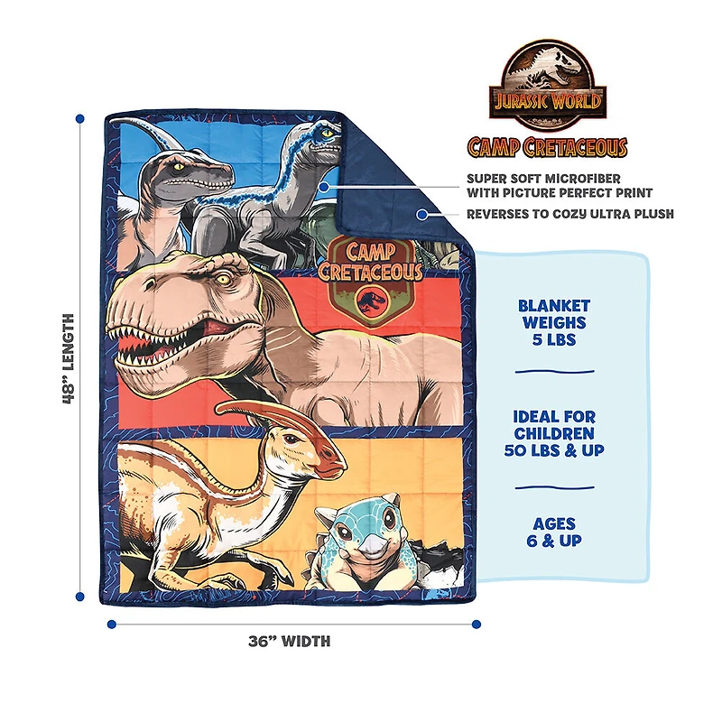 Jurassic Park Kids Weighted Blanket (36 x 48 inches), 5lbs