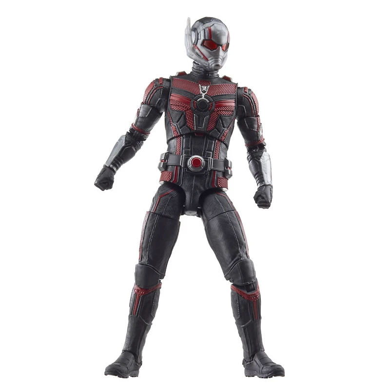 Hasbro Marvel Legends Series Ant-Man, Ant-Man et la Guêpe : Quantumania, figurine articulée de 15 cm