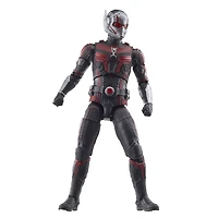 Hasbro Marvel Legends Series Ant-Man, Ant-Man et la Guêpe : Quantumania, figurine articulée de 15 cm