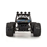 Xceler8 1:10 RC Rally Panther - R Exclusive