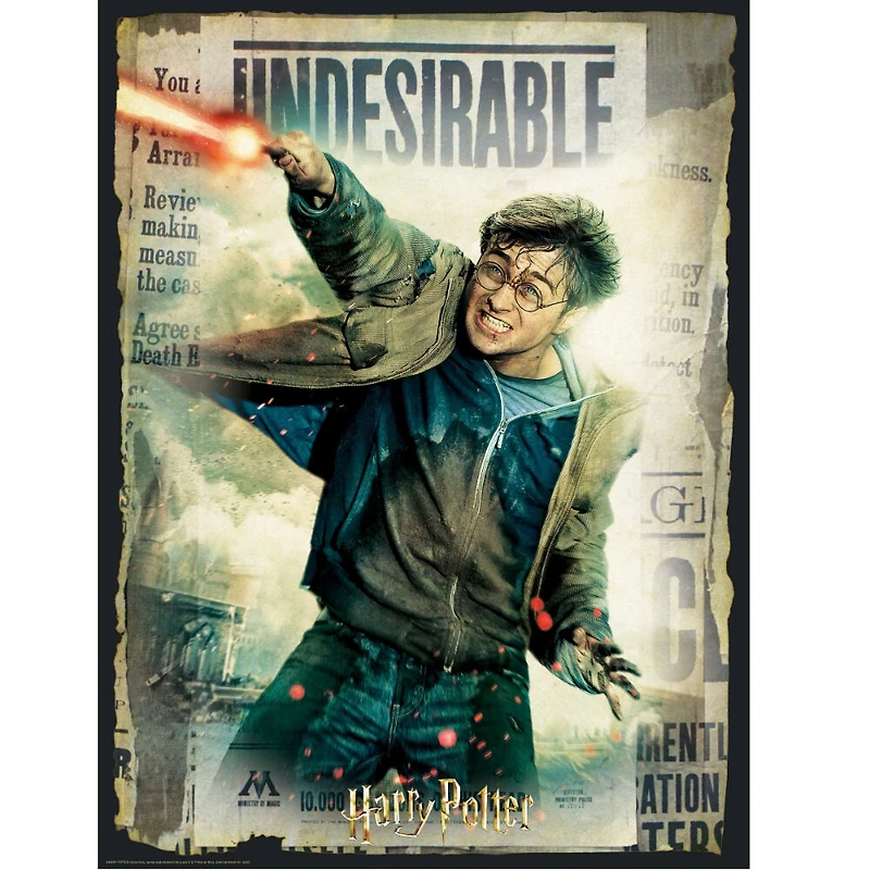 Prime3D Scratch Off Puzzle Reveal - Harry Potter Wanted - Casse-tête 500 pièces Harry Potter