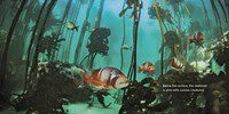 A Journey Under the Sea - Édition anglaise