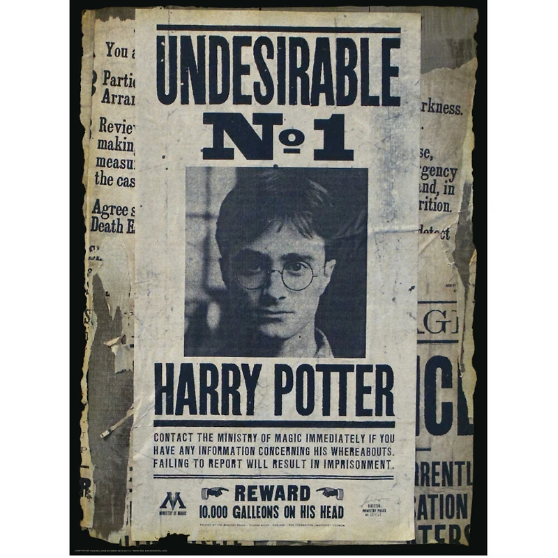 Prime3D Scratch Off Puzzle Reveal - Harry Potter Wanted - Casse-tête 500 pièces Harry Potter