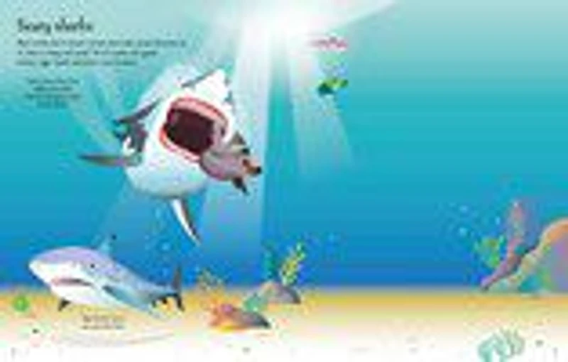 First Sticker Book Sharks and Rays - English Edition