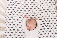 Copper Pearl Draps De Lit De Bébé Wild