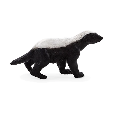 ALEX - Blaireau De Miel Mâle - Petit