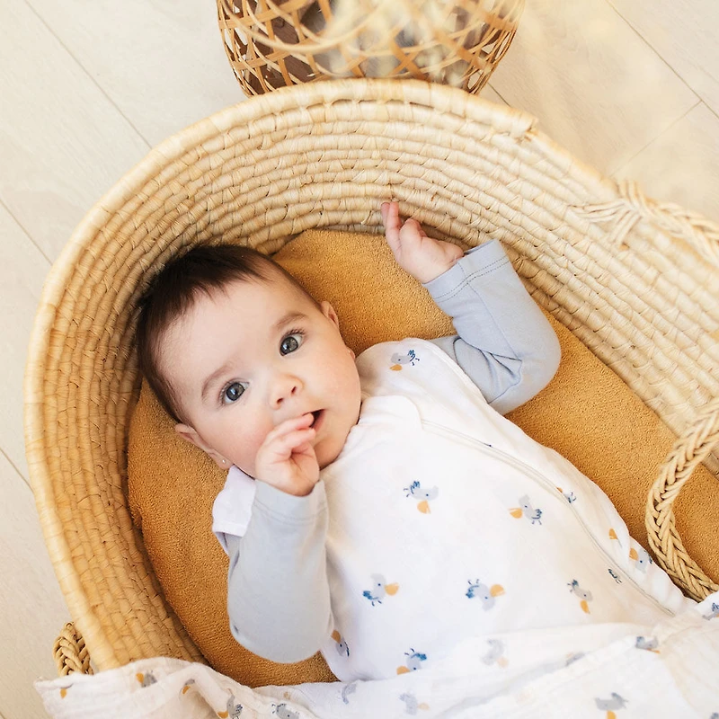 Sac De Nuit-Perlimpinpin-Pélicans/ 0,7 Togs/ 0-6 Mois