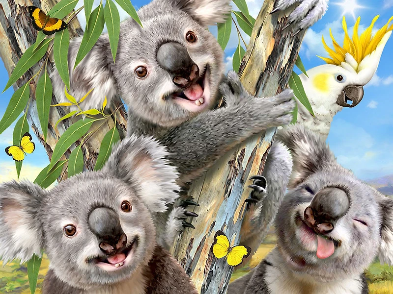 Prime 3D: Howard Robinson Koala Selfie Puzzle avec peluche - 48 pièces