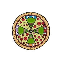 Teenage Mutant Ninja Turtles Limited Edition 40th Anniversary Collectible Coin