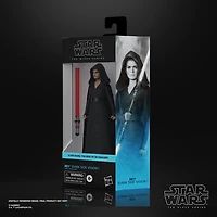 Star Wars The Black Series Rey (Dark Side Vision) Toy