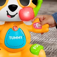 Fisher-Price Link Squad Bop & Groove Tiger Baby Learning Toy with Music & Lights, French Version