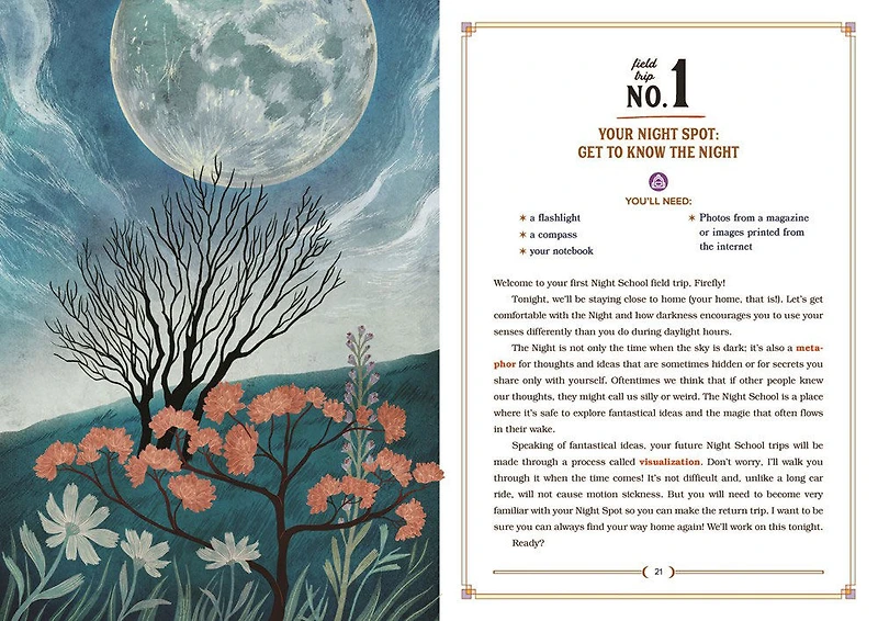 The Night School For Young Mystics - Édition anglaise