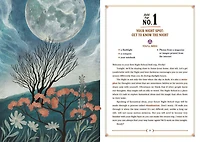 The Night School For Young Mystics - Édition anglaise