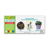 Peinture acrylique multisurfaces Crayola
