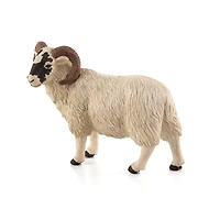 ALEX - Mouton À Face Noire (Bélier) - Moyen
