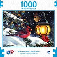 Casse-têtes de 1000 morceaux