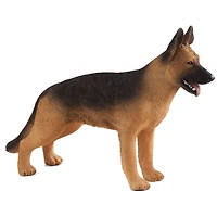 ALEX - Berger Allemand - Moyen