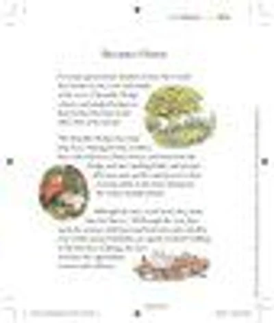 The Complete Brambly Hedge - Édition anglaise