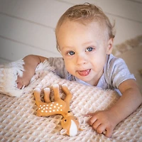Fanfan The Fawn