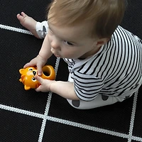Baby Einstein Teethe & Wobble Tiger Teether Toy