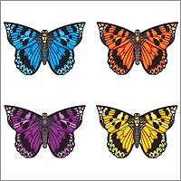 Cerf-volant papillon - assortiment C