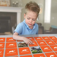 Jeu De Mémoire - Dinosaures