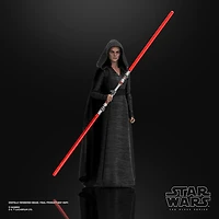 Star Wars The Black Series Rey (Dark Side Vision) Toy