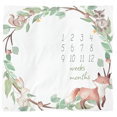 Itzy Ritzy Milestone Blanket - Neutre - Édition anglaise