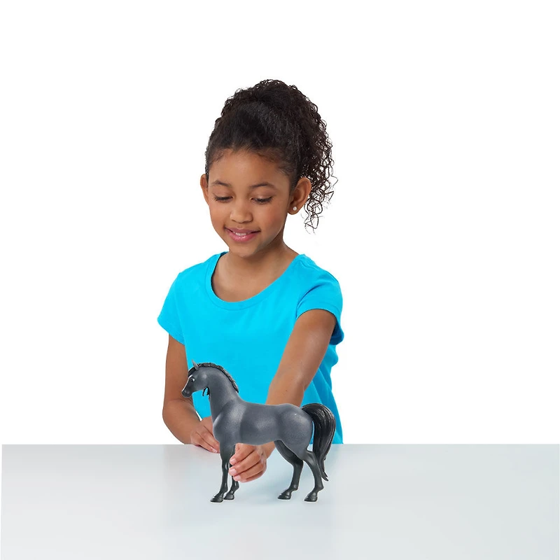 Assortiment de Chevaux Spirit de Collectionneur