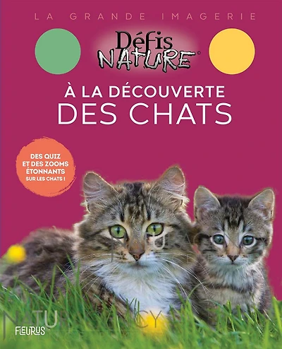 À la decouverte des chats