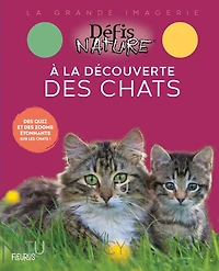 À la decouverte des chats