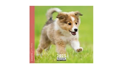 Chiots 2025 - French Text