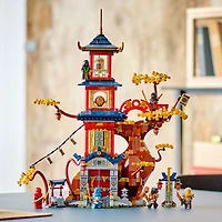 LEGO NINJAGO Les noyaux d'énergie du temple du dragon 71795 Ensemble de jeu de construction (1 029 pièces)