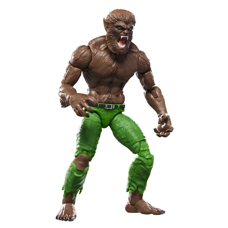 Marvel Legends Series, figurine Werewolf By Night inspirée des bandes dessinées