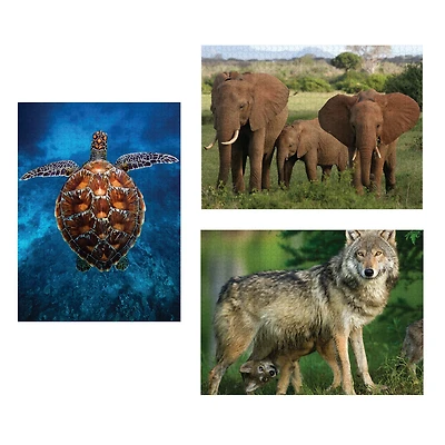 WWF N++ 1000 Pc. Puzzle Tri-Pack