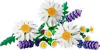 LEGO Botanicals Les Marguerites, Ensemble de Construction de Décoration Florale pour Enfants, Cadeau pour Filles et Garçons 11508