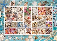 Eurographics Seashell Collection 1000 piece puzzle