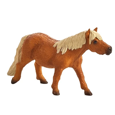 ALEX - Shetland Poney - Moyen