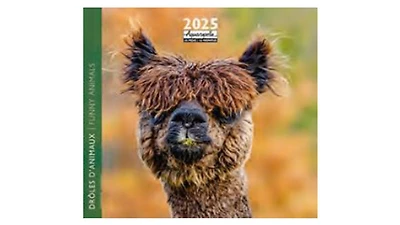 Droles Danimaux 2025