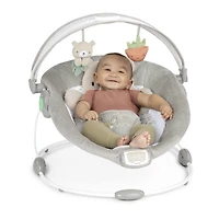 Siège et sauteur InLighten Baby Bouncer