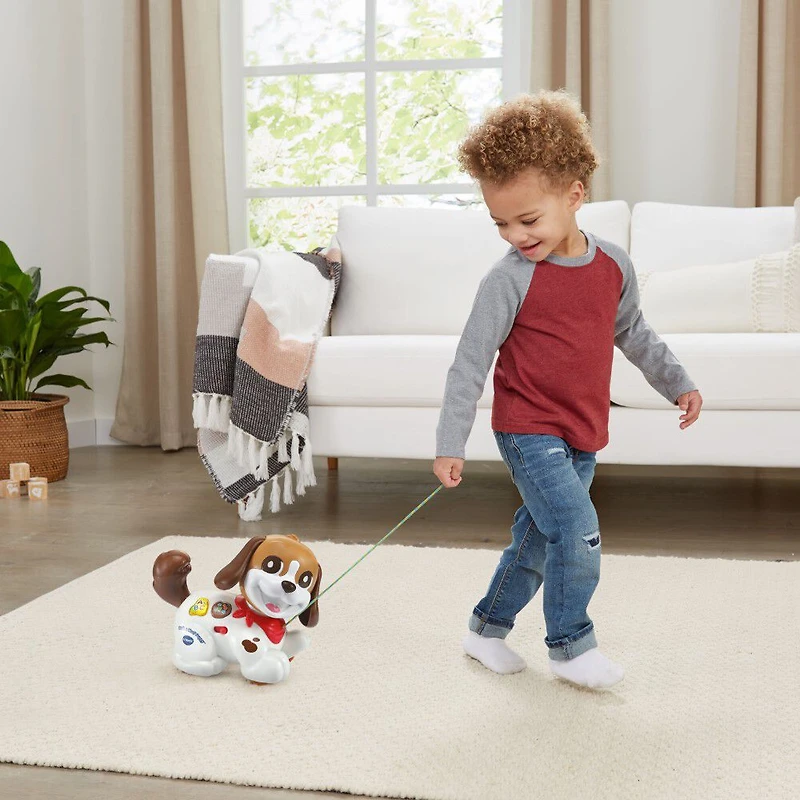 VTech Walk and Woof Puppy - English Edition