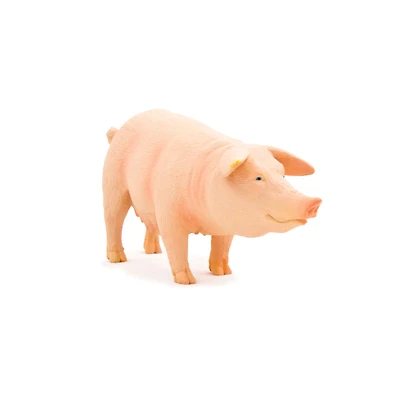 ALEX - Pig (Sow) - Medium