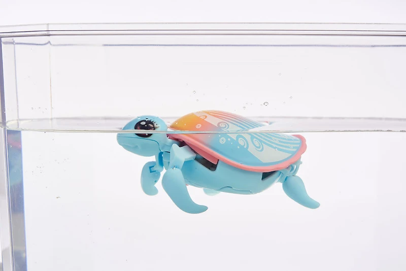 Little Live Pets Lil' Turtle S10 Simple Pk Ripswirl