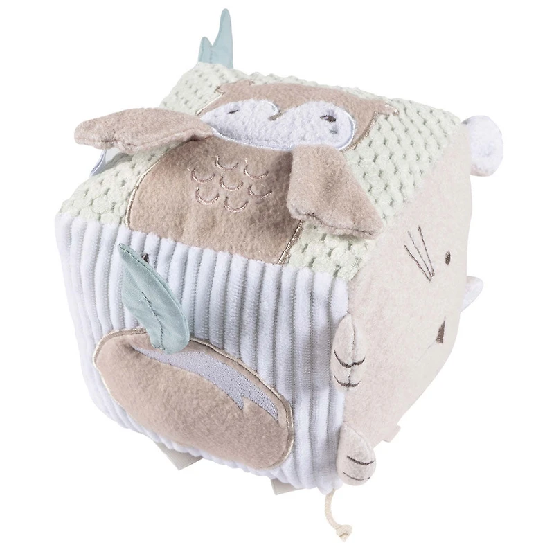 Just Born  - Activity Cube