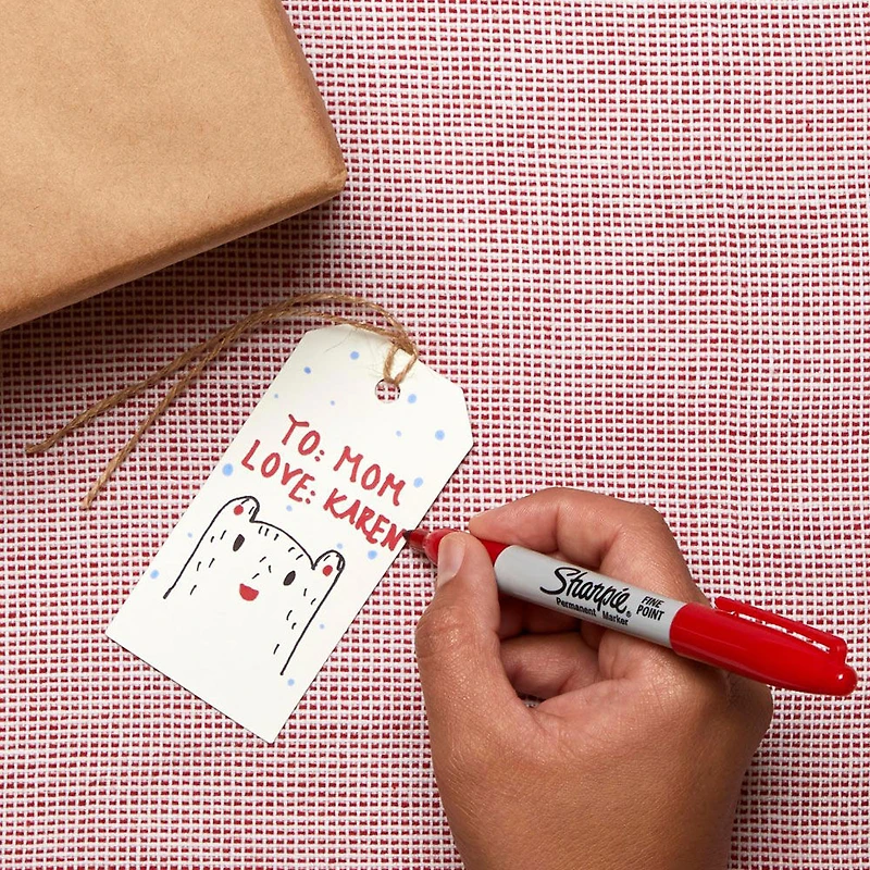 Sharpie Permanent Markers, Fine Point, Assorted Colours, 5 Count