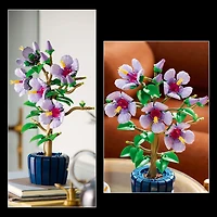 LEGO Botanicals L'Hibiscus, Ensemble pour Adultes, Décor Floral avec Pot de Fleurs Bleu 10372