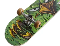 Tony Hawk Skateboard