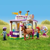 LEGO Friends Horse Training 41746 Building Toy Set (134 Pieces)